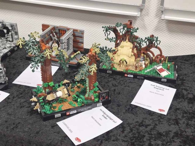 2025_bricks_am_meer_Ilmenau_016